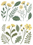 手绘黄色花卉绿植图案