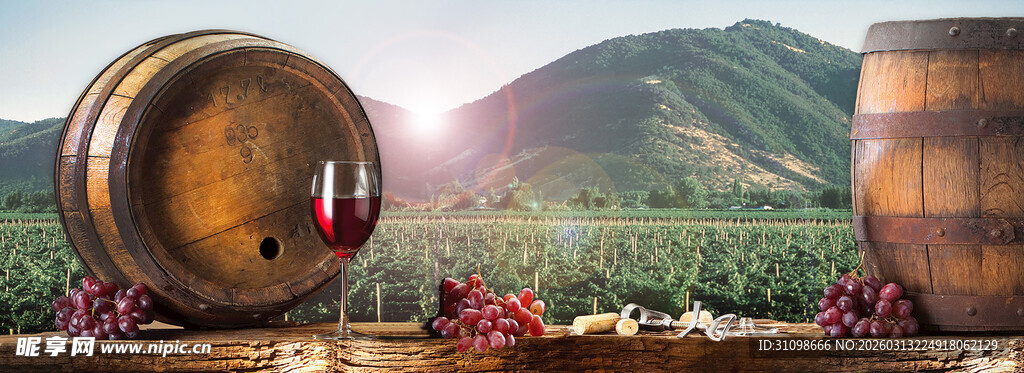田园中的葡萄酒桶与美景