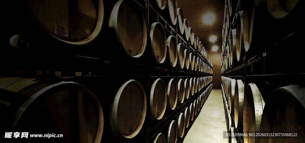 酒窖中的整齐排列的酒桶