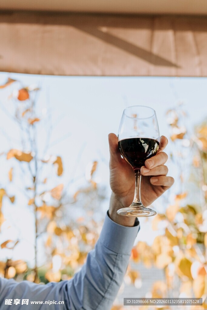 举杯赏景享美酒