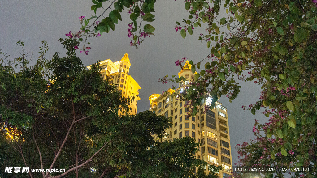 夜幕下金顶建筑与绿植