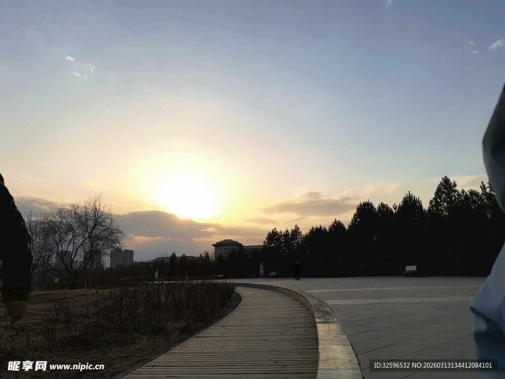 夕阳下的道路与树林