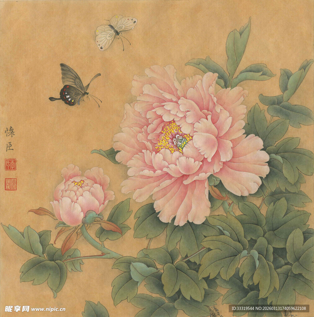 国画牡丹蝴蝶图