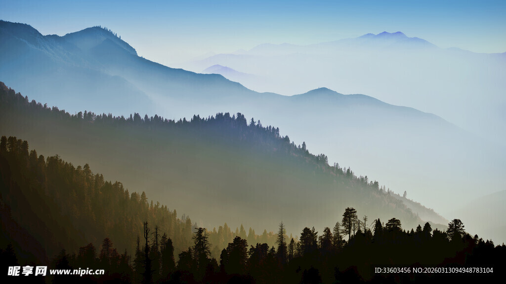山间晨雾中的葱郁山林