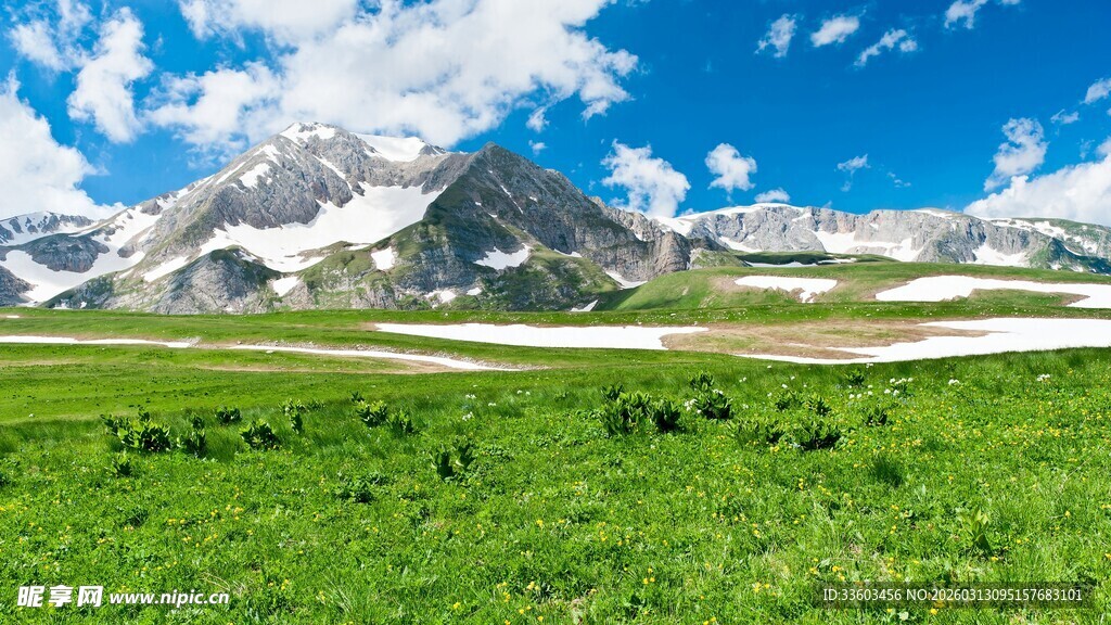 草原雪山美景