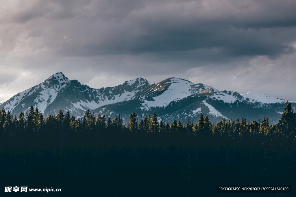 云雾缭绕的巍峨雪山森林