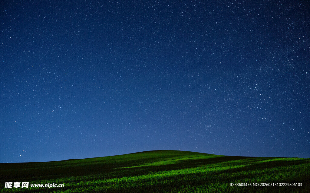 夜空下的绿色原野