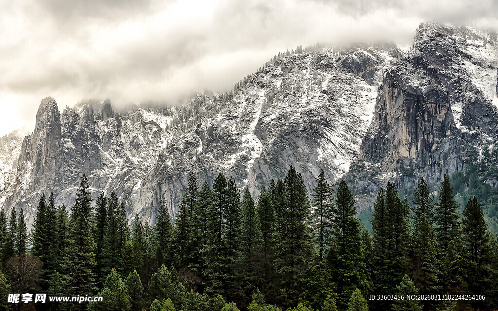 巍峨雪山下的茂密森林