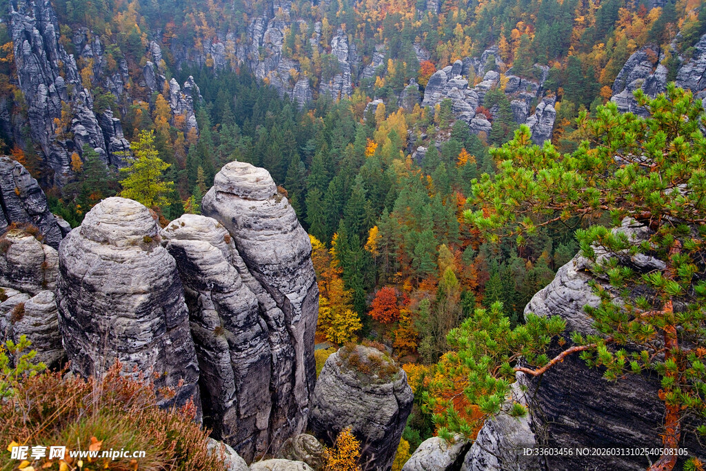秋日山林中的嶙峋岩石