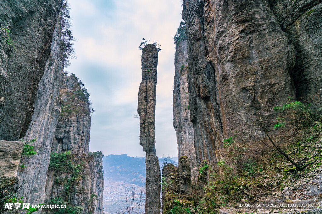 奇峰耸立的壮丽峡谷景观