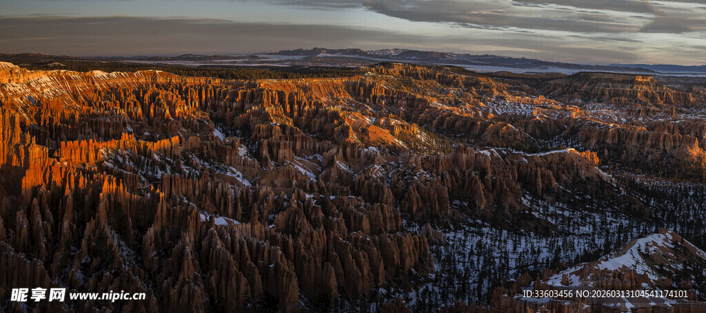 夕阳下的广袤森林景观