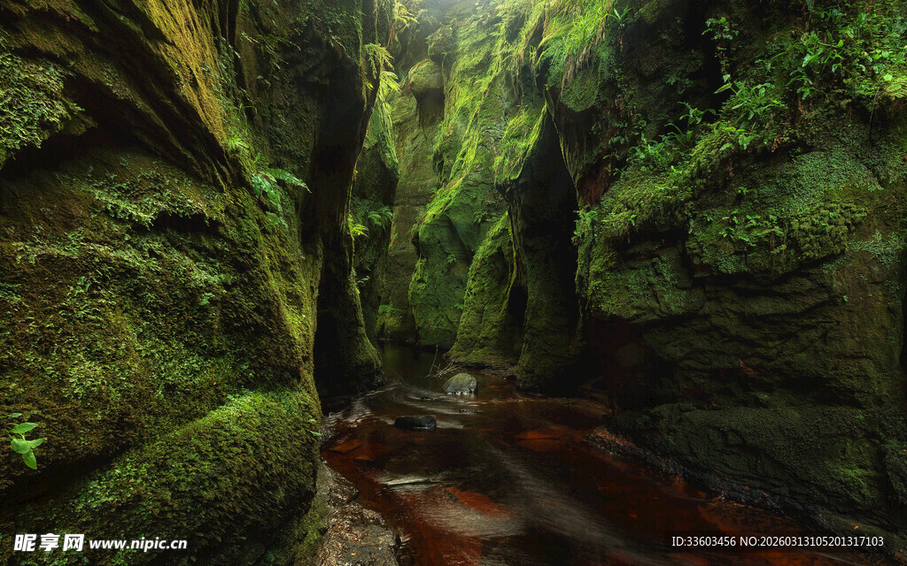 神秘幽深的绿色峡谷