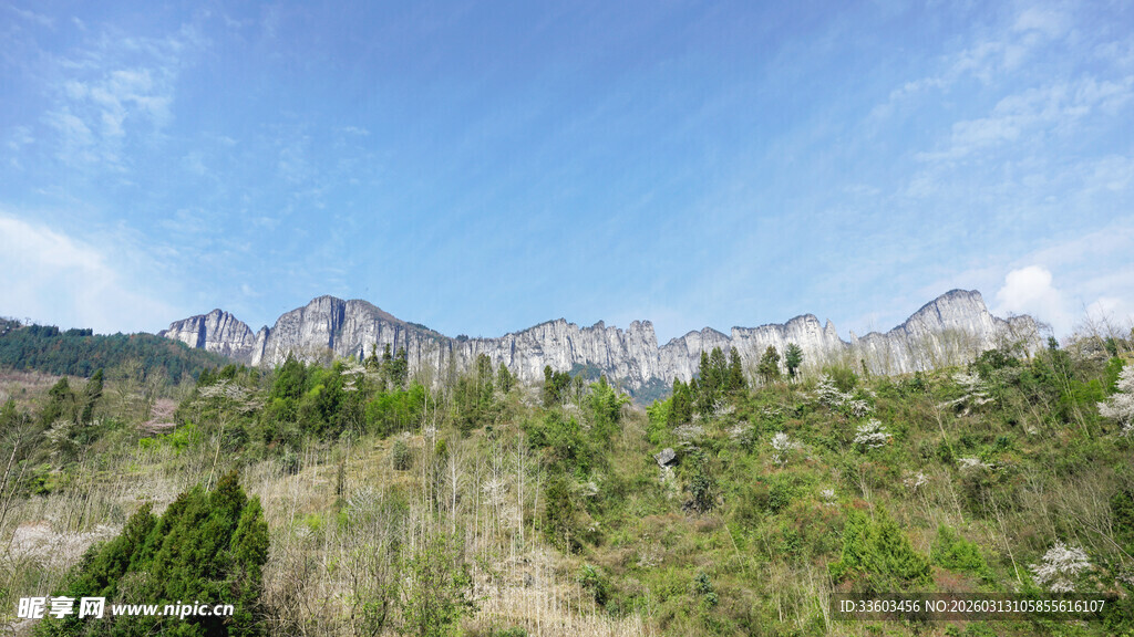 青山绿树间的壮丽山峦