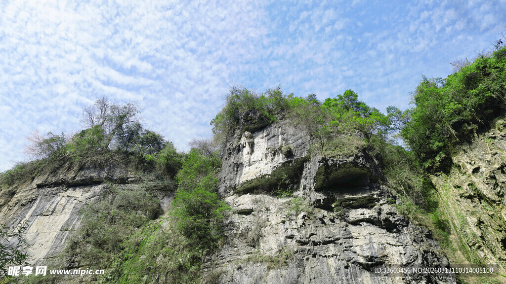 陡峭山崖边的葱郁绿植