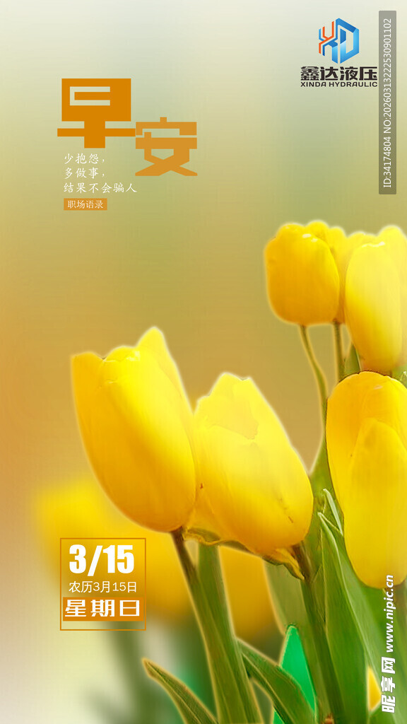 早安 职场语录 黄色郁金香图片