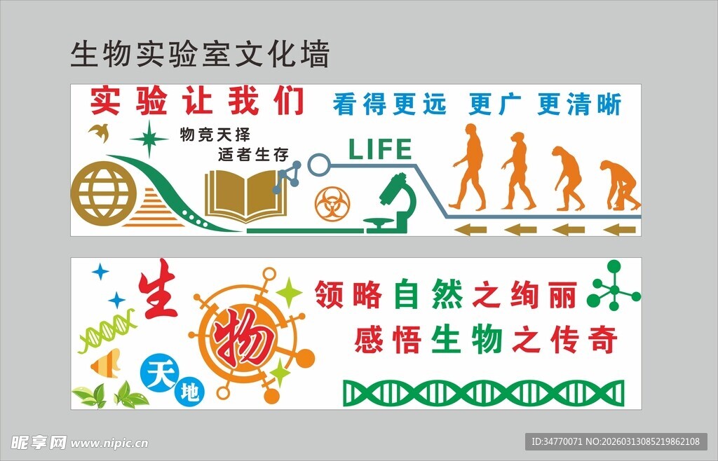 生物实验文化宣传海报