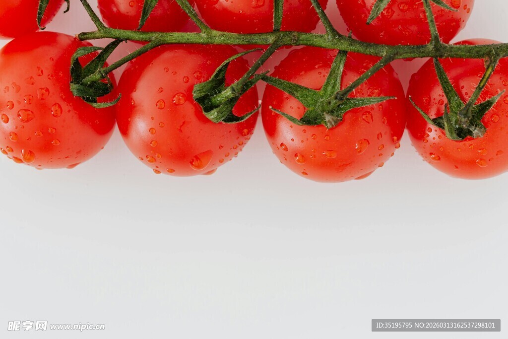 新鲜串状番茄色泽诱人