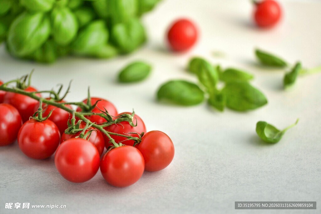 新鲜樱桃番茄与罗勒叶