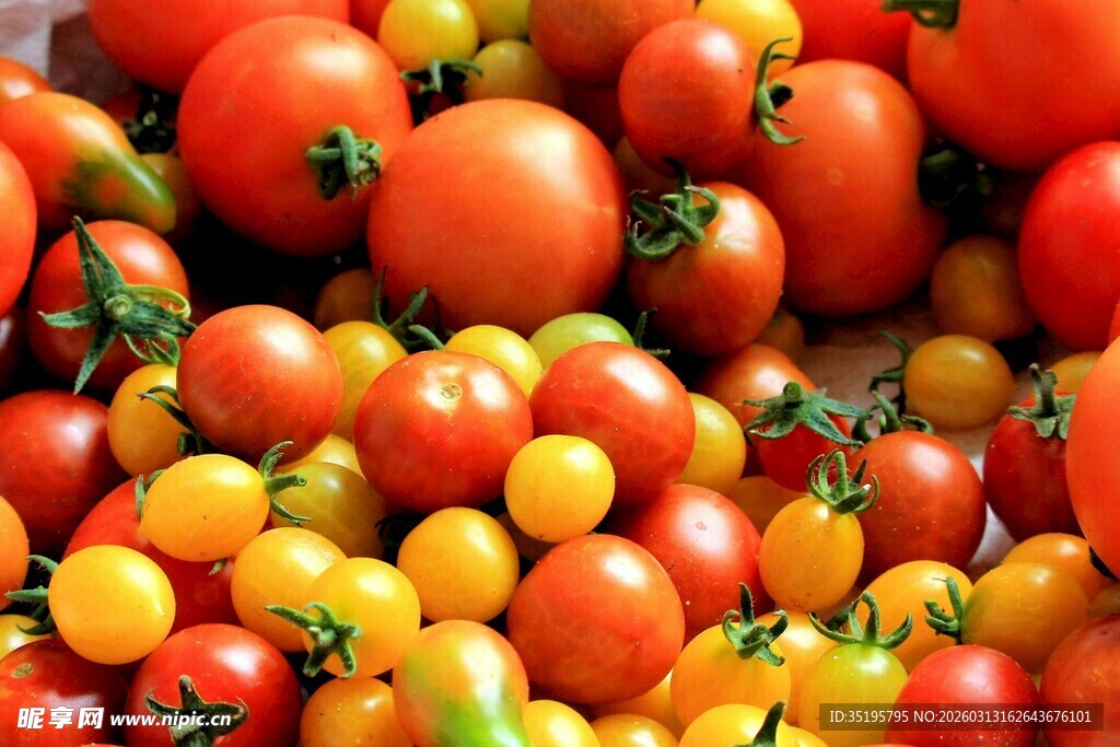 多彩番茄堆叠景象
