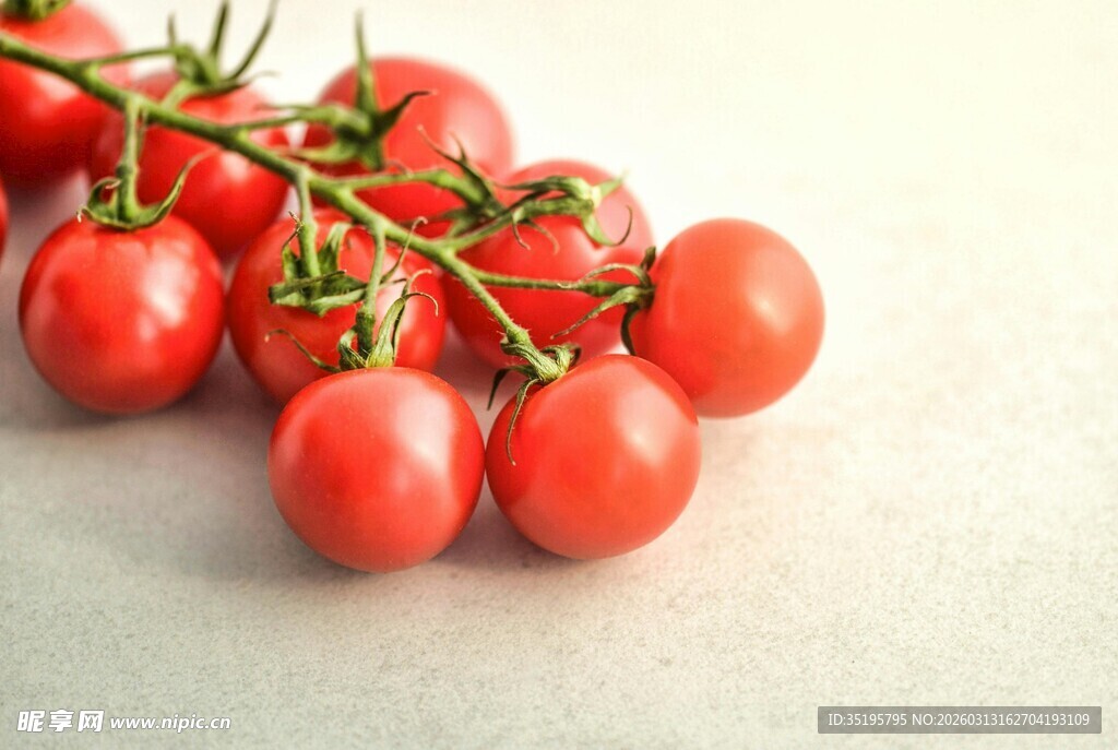 新鲜红樱桃番茄摆拍