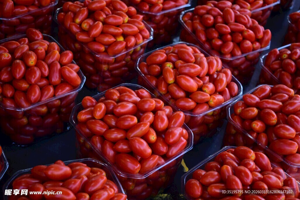 新鲜盒装小番茄陈列