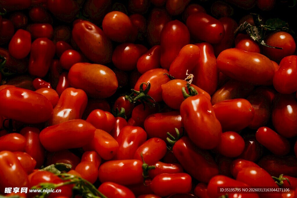 饱满鲜红的小番茄