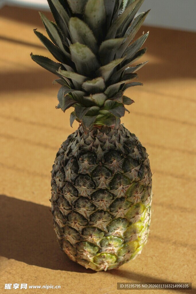 阳光下的新鲜菠萝