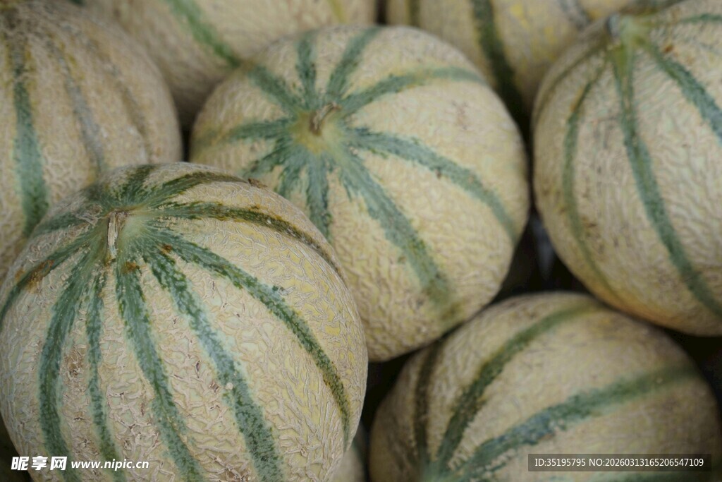 一堆条纹甜瓜
