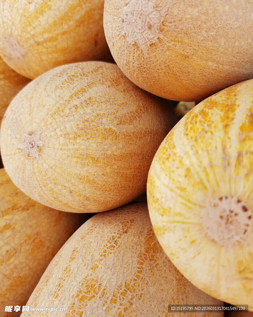 一堆新鲜的金黄甜瓜