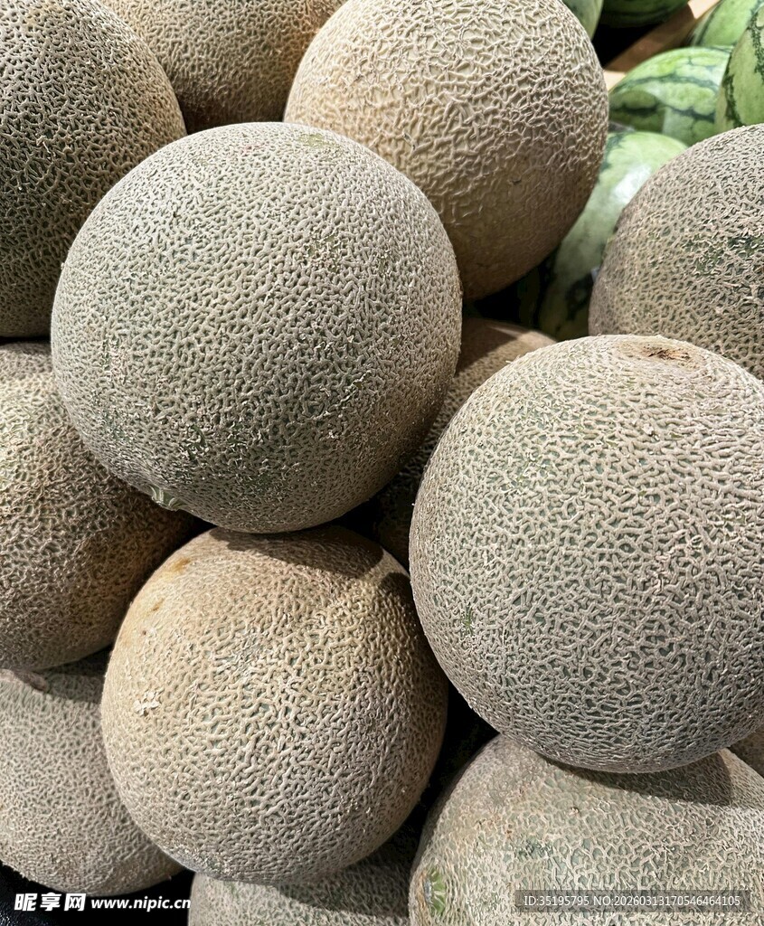 一堆新鲜的圆滚滚的甜瓜