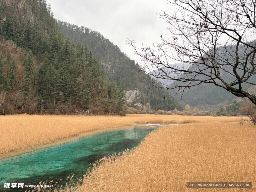 九寨沟山间碧河伴金黄草地