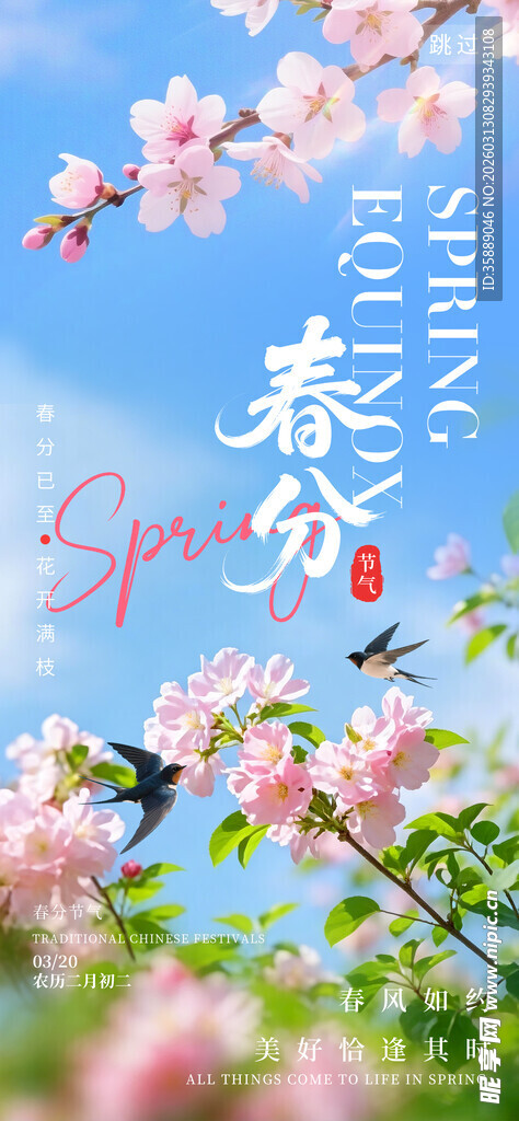 春日繁花绽放的美好景象