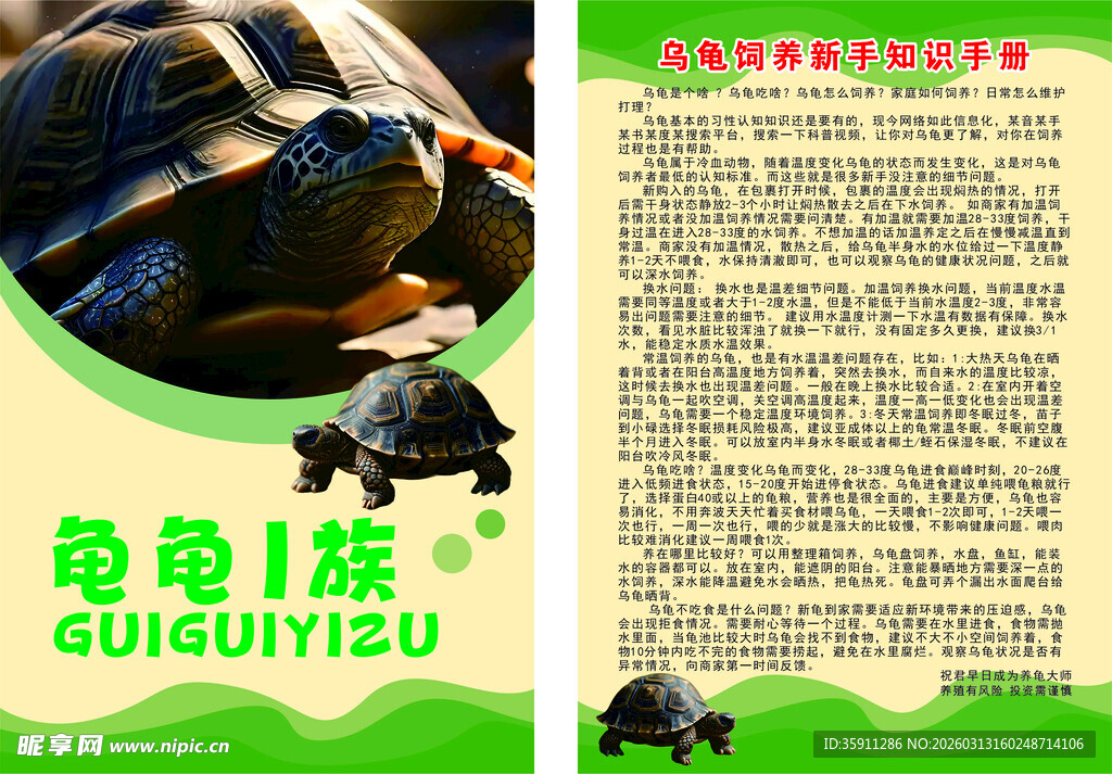 龟类物种介绍 乌龟饲养新手知识