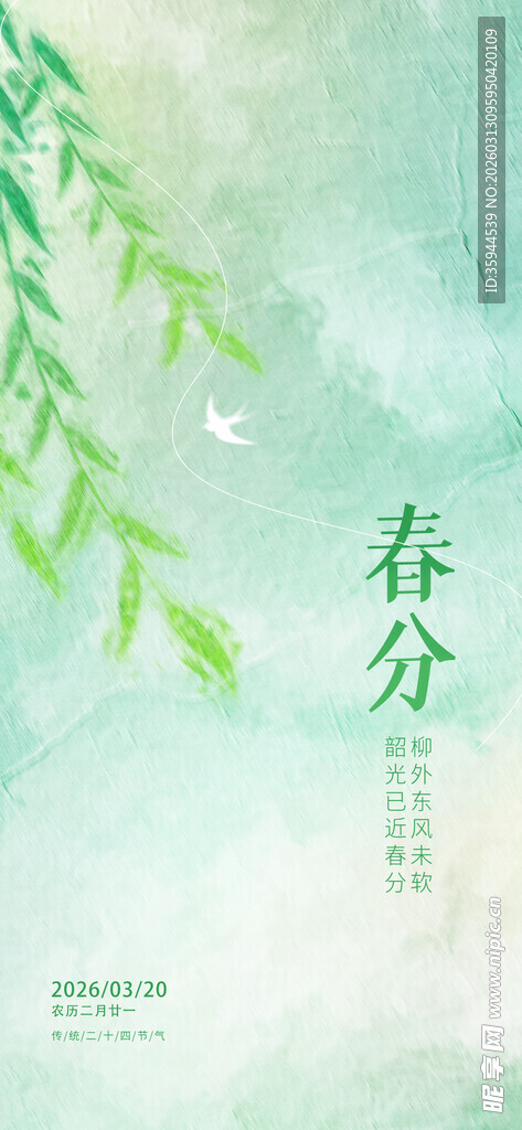 春分时节  柳丝摇曳