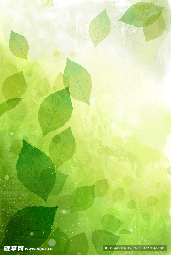 清新绿叶背景图