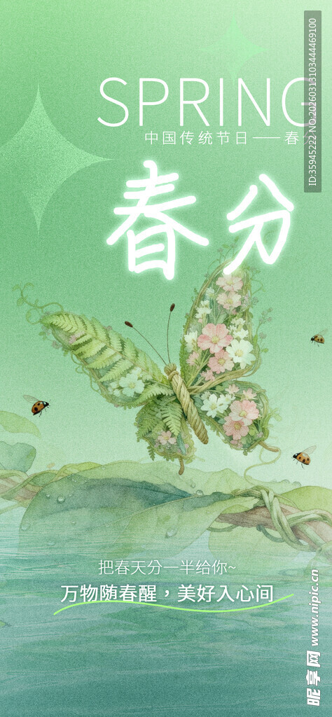 春分时节 蝴蝶飞舞春意浓