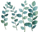 J清新水彩风绿叶植物素材