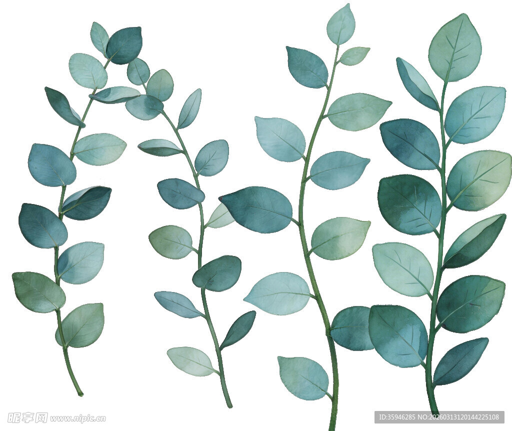 J清新水彩风绿叶植物素材