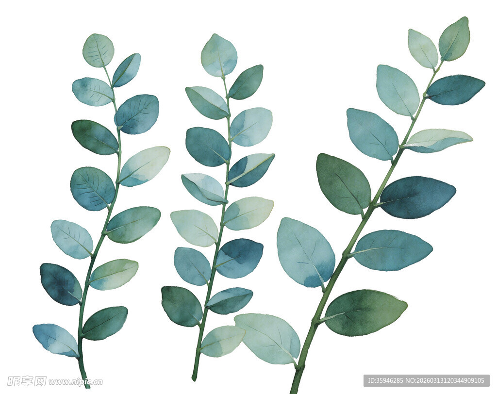J水彩风绿叶植物插画