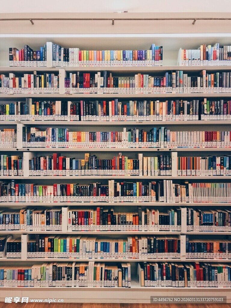 满墙书籍营造知识氛围