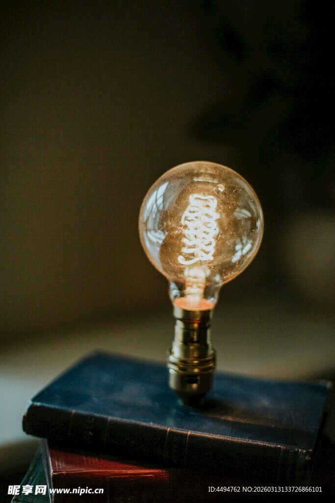 复古灯泡置于书籍之上