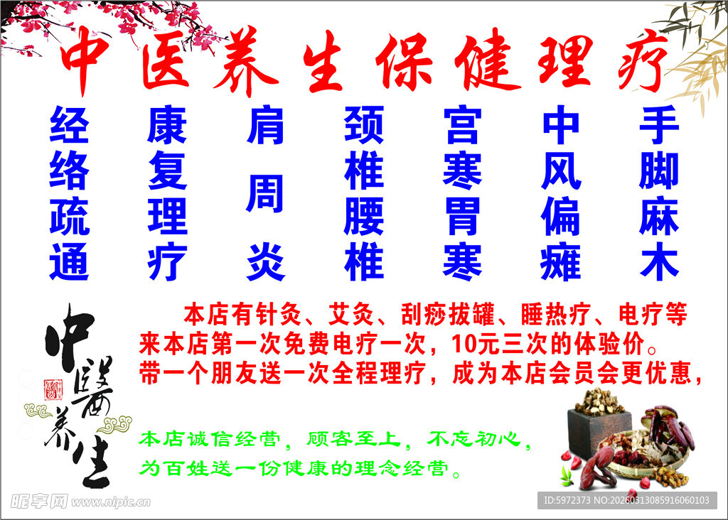 中医养生保健理疗服务展示