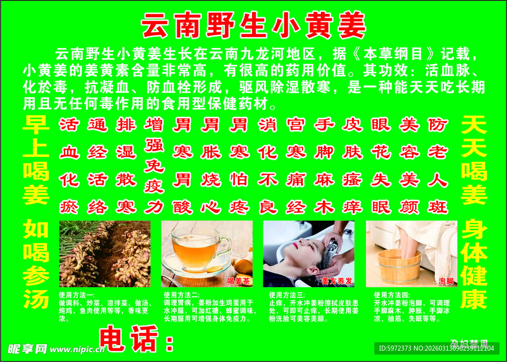 云南野生小黄姜