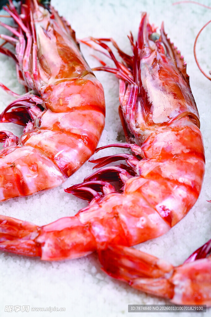 新鲜大对虾 色泽诱人