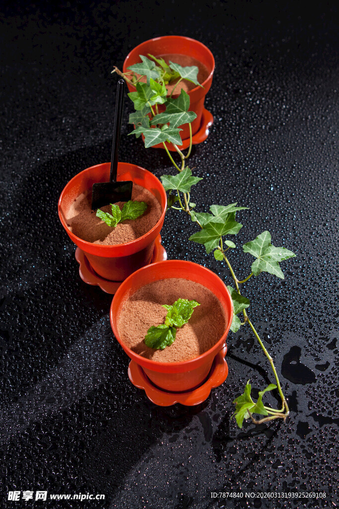橙色花盆中的绿植幼苗