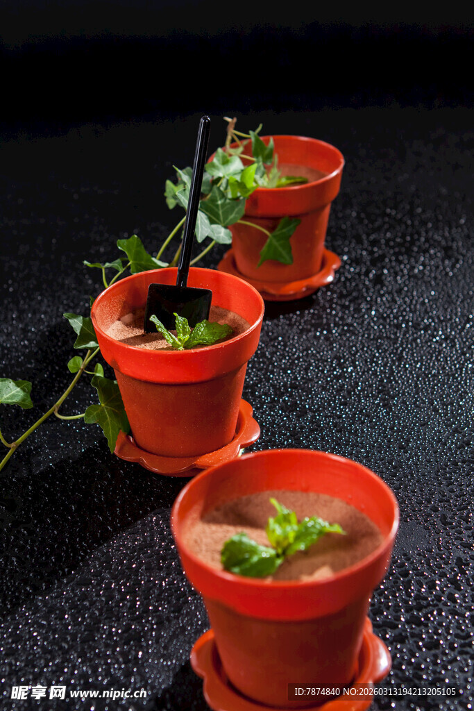 红陶盆栽中的鲜嫩绿植