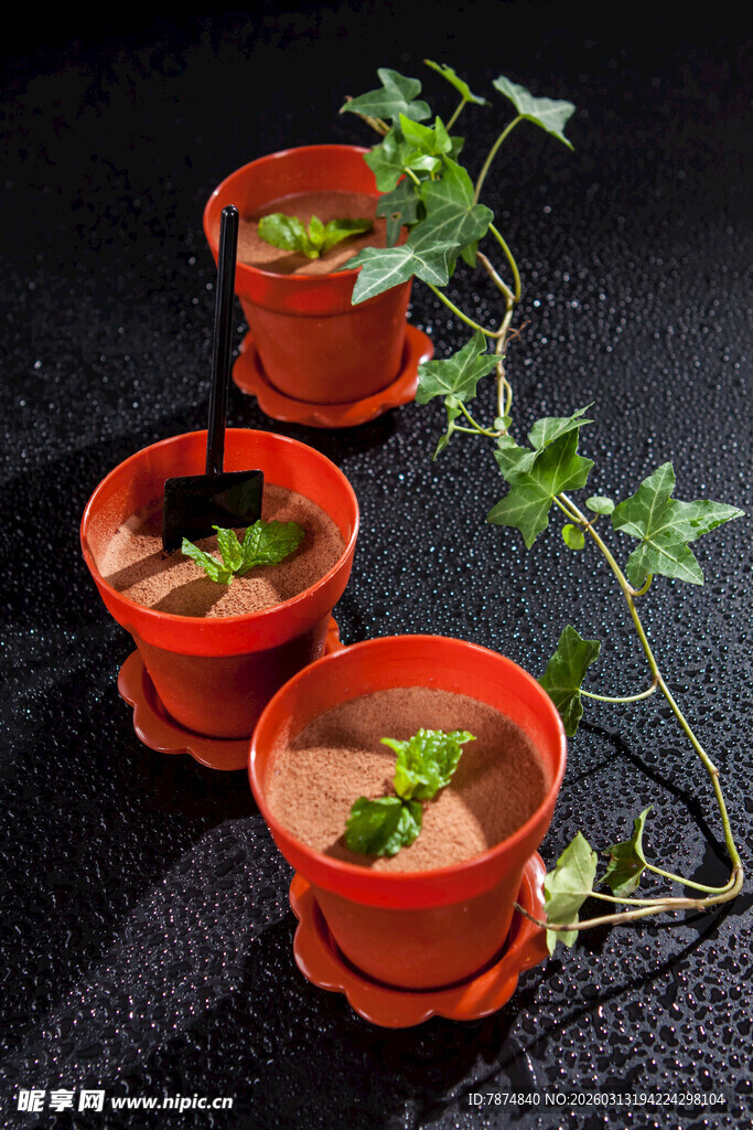 陶盆绿植 清新自然小景致