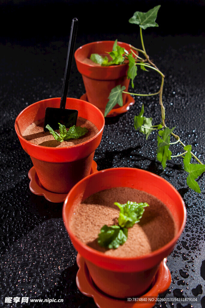 红色陶盆中的绿植盆栽