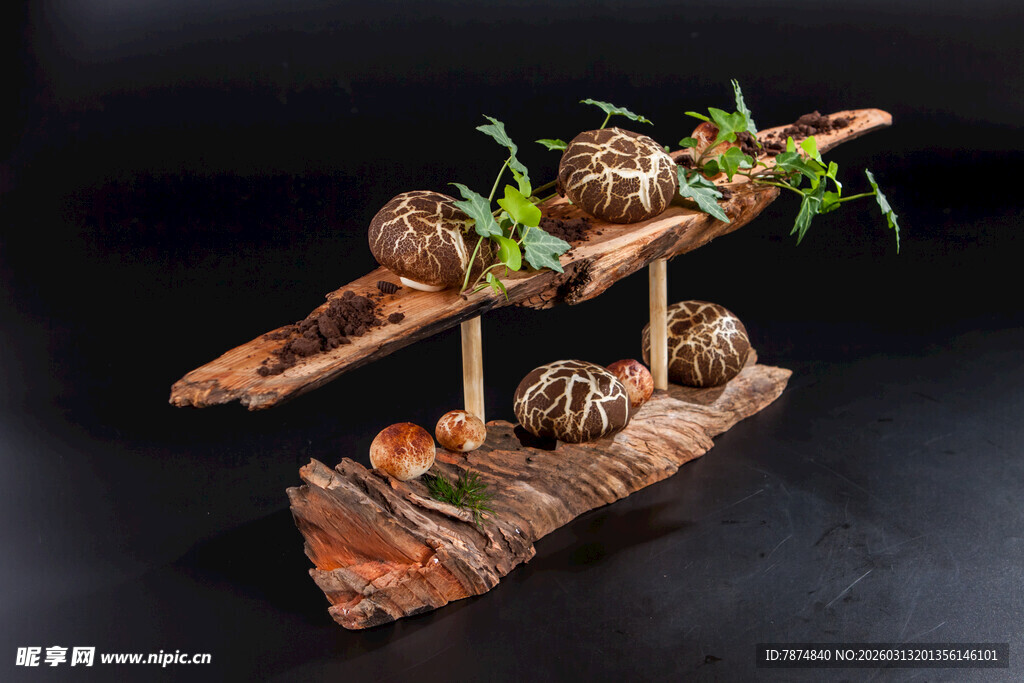 创意木质立体绿植摆件