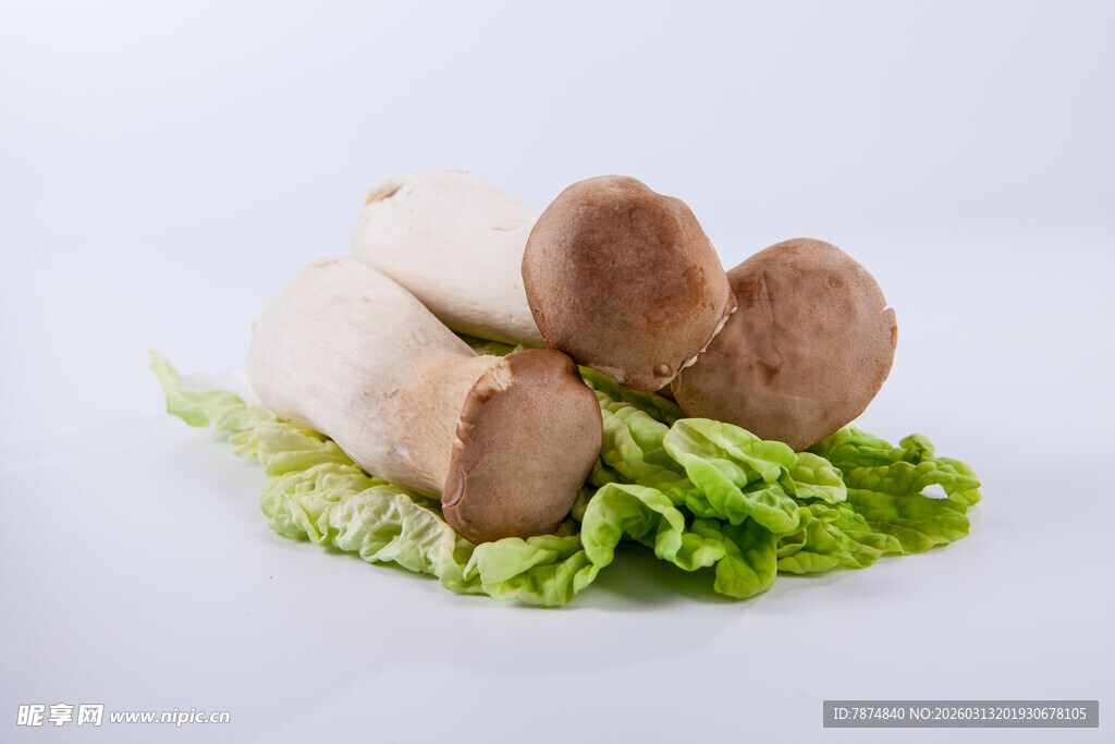 鲜蘑菇配生菜 美味食材